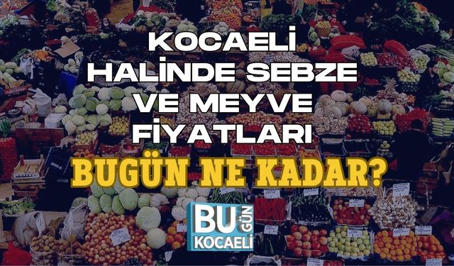 KOCAELİ HALİNDE SEBZE VE MEYVE FİYATLARI BUGÜN NE KADAR?