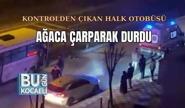 KONTROLDEN ÇIKAN HALK OTOBÜSÜ AĞACA ÇARPARAK DURDU