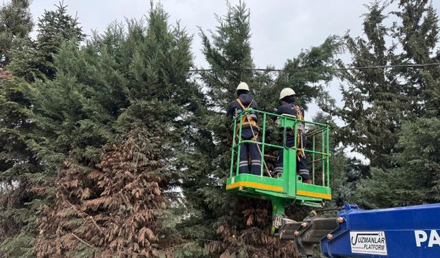 KARTEPE’DE MEZARLIKLARDA VE MEYDANLARA YOĞUN BAKIM