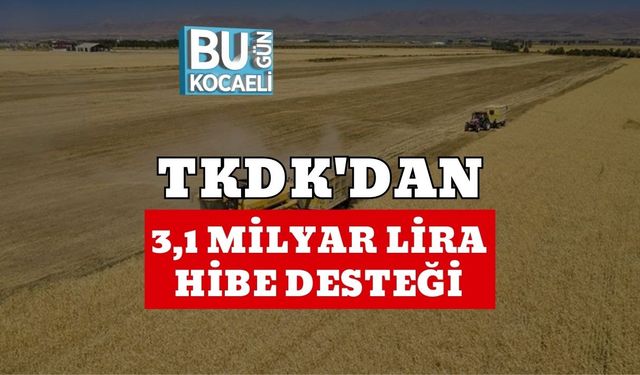 TKDK'dan 3,1 Milyar Lira Hibe Desteği