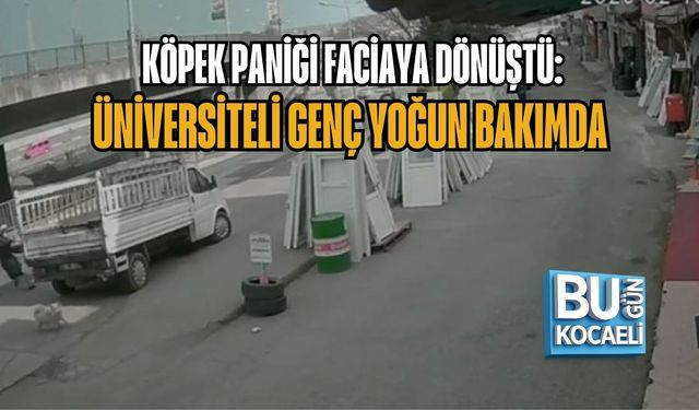 KÖPEK PANİĞİ FACİAYA DÖNÜŞTÜ: ÜNİVERSİTELİ GENÇ YOĞUN BAKIMDA