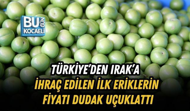 TÜRKİYE’DEN IRAK’A İHRAÇ EDİLEN İLK ERİKLERİN FİYATI DUDAK UÇUKLATTI