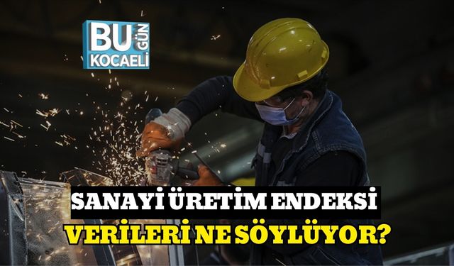 SANAYİ ÜRETİM ENDEKSİ VERİLERİ NE SÖYLÜYOR?