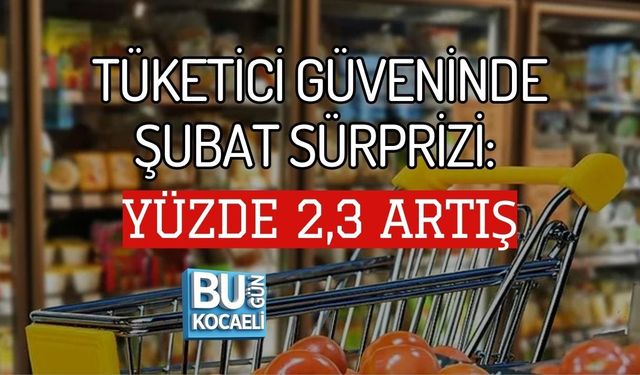 TÜKETİCİ GÜVENİNDE ŞUBAT SÜRPRİZİ: YÜZDE 2,3 ARTIŞ