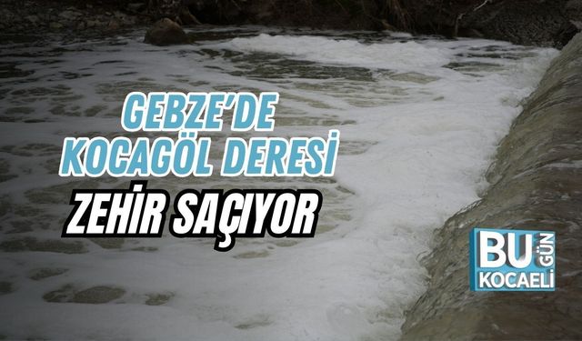 GEBZE'DE KOCAGÖL DERESİ ZEHİR SAÇIYOR