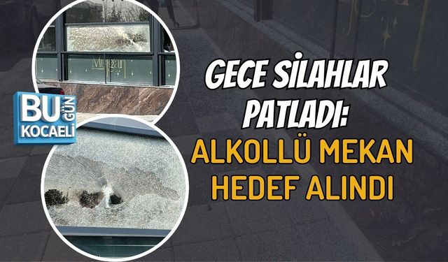 GECE SİLAHLAR PATLADI: ALKOLLÜ MEKAN HEDEF ALINDI
