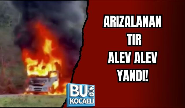 ARIZALANAN TIR ALEV ALEV YANDI!