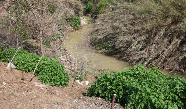 4 YAŞINDAKİ ABDULLAH DERDE CAN VERDİ! ACI BABADAN YÜREK YAKAN SÖZLER