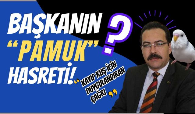BAŞKANIN “PAMUK” HASRETİ! KAYIP KUŞ İÇİN DUYGULANDIRAN ÇAĞRI