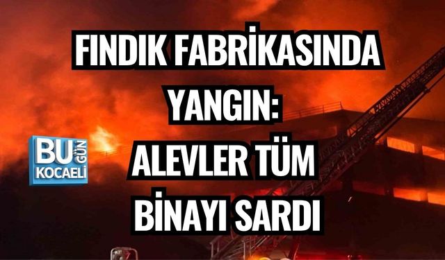 FINDIK FABRİKASINDA YANGIN: ALEVLER TÜM BİNAYI SARDI