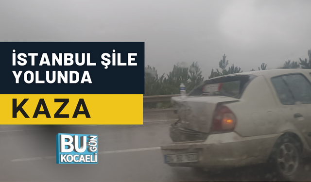 İSTANBUL ŞİLE YOLUNDA KAZA