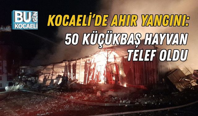 KOCAELİ’DE AHIR YANGINI: 50 KÜÇÜKBAŞ HAYVAN TELEF OLDU