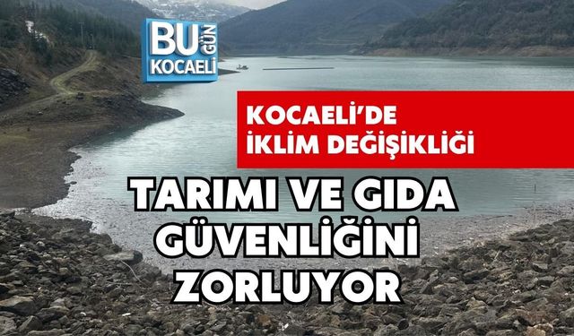 KOCAELİ’DE İKLİM DEĞİŞİKLİĞİ TARIMI VE GIDA GÜVENLİĞİNİ ZORLUYOR
