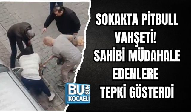 SOKAKTA PİTBULL VAHŞETİ! SAHİBİ MÜDAHALE EDENLERE TEPKİ GÖSTERDİ