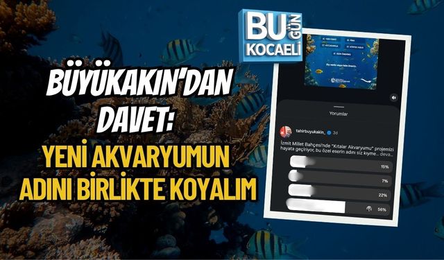 BÜYÜKAKIN’DAN DAVET: YENİ AKVARYUMUN ADINI BİRLİKTE KOYALIM