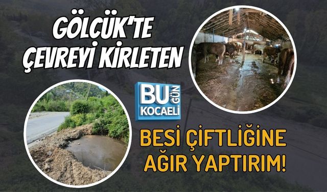 GÖLCÜK’TE ÇEVREYİ KİRLETEN BESİ ÇİFTLİĞİNE AĞIR YAPTIRIM!