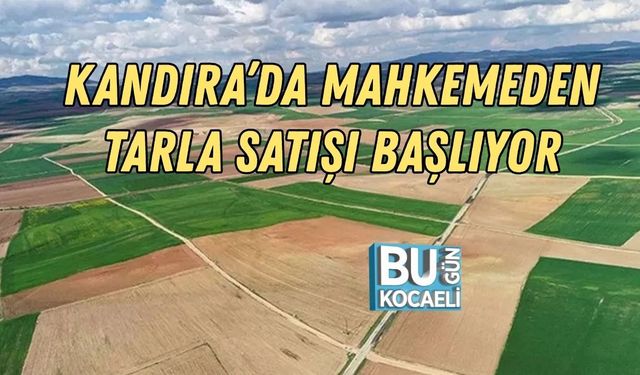 KANDIRA’DA MAHKEMEDEN TARLA SATIŞI BAŞLIYOR
