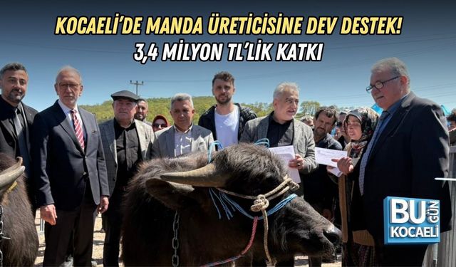 KOCAELİ’DE MANDA ÜRETİCİSİNE DEV DESTEK! 3,4 MİLYON TL’LİK KATKI