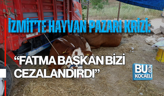 İZMİT’TE HAYVAN PAZARI KRİZİ: “FATMA BAŞKAN BİZİ CEZALANDIRDI”