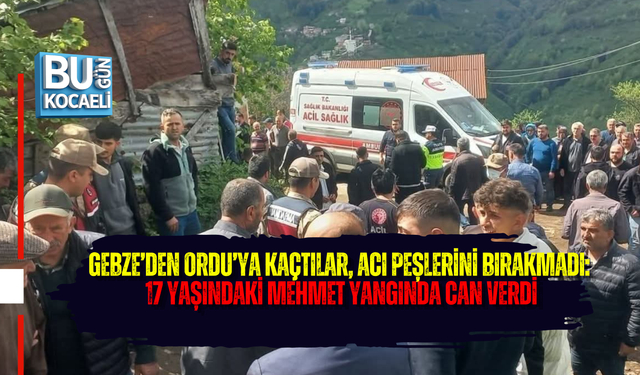 GEBZE’DEN ORDU’YA KAÇTILAR, ACI PEŞLERİNİ BIRAKMADI: 17 YAŞINDAKİ MEHMET YANGINDA CAN VERDİ