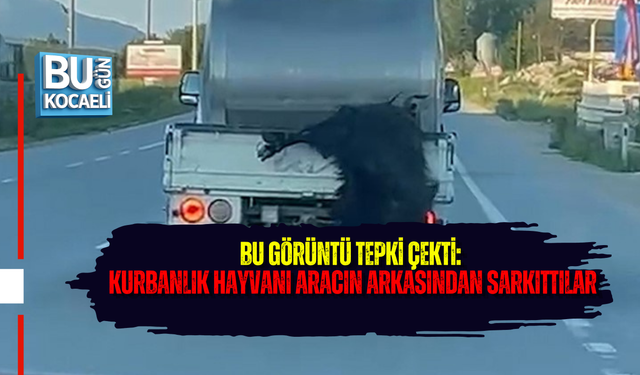 BU GÖRÜNTÜ TEPKİ ÇEKTİ: KURBANLIK HAYVANI ARACIN ARKASINDAN SARKITTILAR
