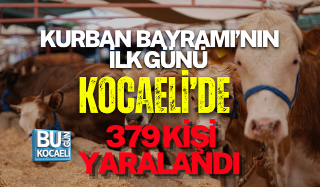 KURBAN BAYRAMI’NIN İLK GÜNÜ KOCAELİ’DE 379 KİŞİ YARALANDI