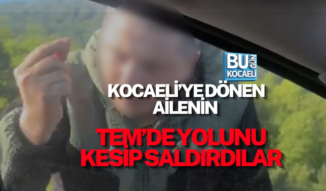 KOCAELİ’YE DÖNEN AİLENİN TEM’DE YOLUNU KESİP SALDIRDILAR