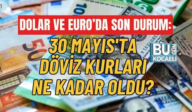 DOLAR VE EURO’DA SON DURUM: 30 MAYIS'TA DÖVİZ KURLARI NE KADAR OLDU?