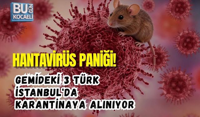 HANTAVİRÜS PANİĞİ! GEMİDEKİ 3 TÜRK İSTANBUL'DA KARANTİNAYA ALINIYOR