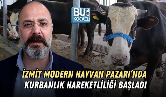 İZMİT MODERN HAYVAN PAZARI’NDA KURBANLIK HAREKETLİLİĞİ BAŞLADI