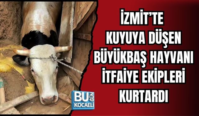 İZMİT’TE KUYUYA DÜŞEN BÜYÜKBAŞ HAYVANI İTFAİYE EKİPLERİ KURTARDI