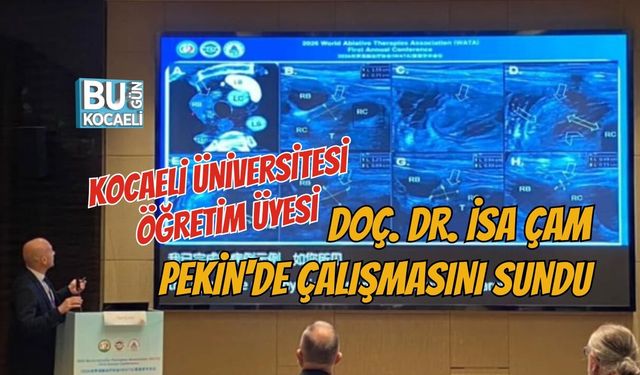 KOCAELİ ÜNİVERSİTESİ ÖĞRETİM ÜYESİ DOÇ. DR. İSA ÇAM PEKİN'DE ÇALIŞMASINI SUNDU