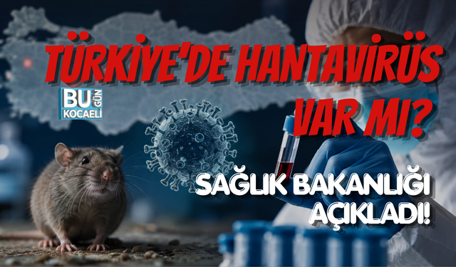 TÜRKİYE’DE HANTAVİRÜS VAR MI? SAĞLIK BAKANLIĞI AÇIKLADI!