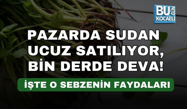 PAZARDA SUDAN UCUZ SATILIYOR, BİN DERDE DEVA! İŞTE O SEBZENİN FAYDALARI
