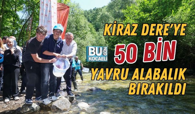 KİRAZ DERE'YE 50 BİN YAVRU ALABALIK BIRAKILDI