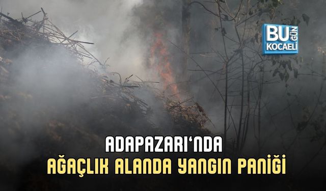 ADAPAZARI’NDA AĞAÇLIK ALANDA YANGIN PANİĞİ