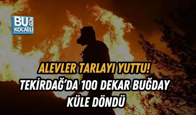 ALEVLER TARLAYI YUTTU! TEKİRDAĞ’DA 100 DEKAR BUĞDAY KÜLE DÖNDÜ