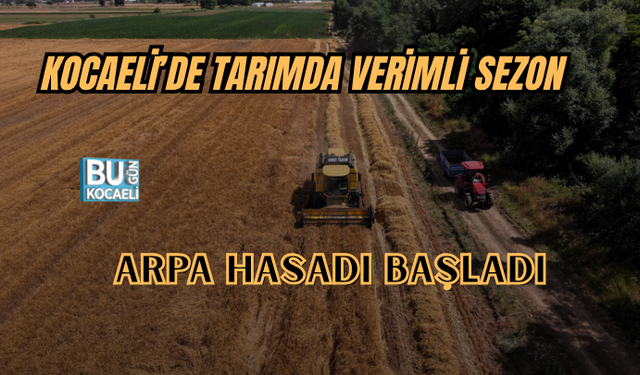 KOCAELİ’DE TARIMDA VERİMLİ SEZON: ARPA HASADI BAŞLADI