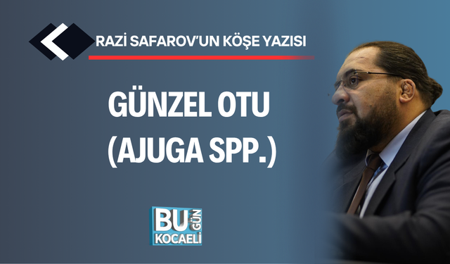 REHA MUHTAR'IN VASİYETİ ORTAYA ÇIKTI!