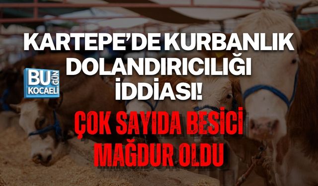 KARTEPE’DE KURBANLIK DOLANDIRICILIĞI İDDİASI! ÇOK SAYIDA BESİCİ MAĞDUR OLDU