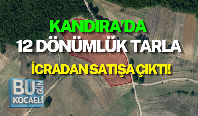 KANDIRA’DA 12 DÖNÜMLÜK TARLA İCRADAN SATIŞA ÇIKTI