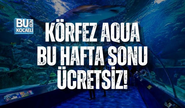 KÖRFEZ AQUA BU HAFTA SONU ÜCRETSİZ!