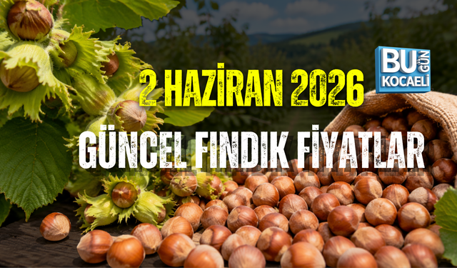 2 HAZİRAN 2026 GÜNCEL FINDIK FİYATLARI
