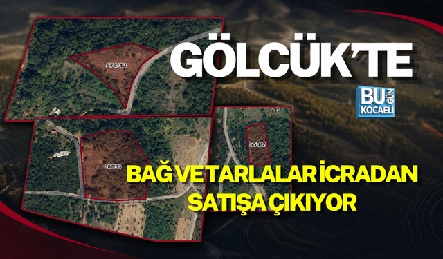 GÖLCÜK’TE BAĞ VE TARLALAR İCRADAN SATIŞA ÇIKIYOR