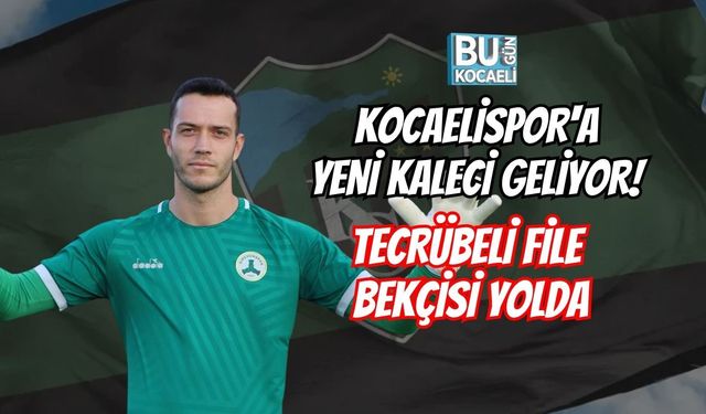 KOCAELİSPOR'A YENİ KALECİ GELİYOR! TECRÜBELİ FİLE BEKÇİSİ YOLDA