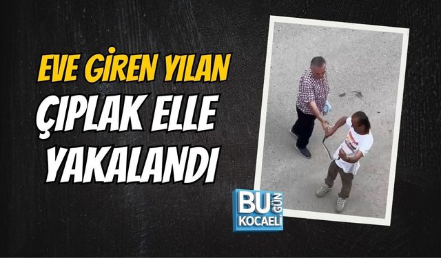EVE GİREN YILAN ÇIPLAK ELLE YAKALANDI
