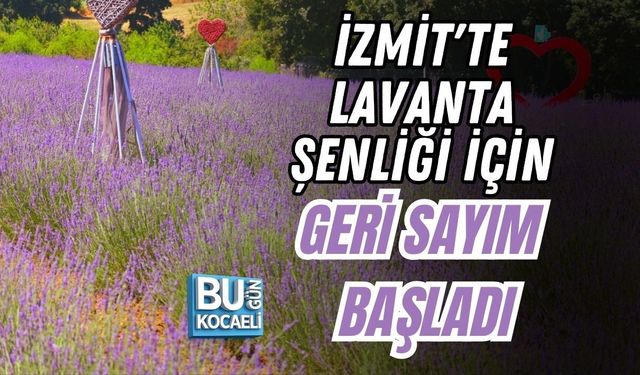 İZMİT'TE LAVANTA ŞENLİĞİ İÇİN GERİ SAYIM BAŞLADI