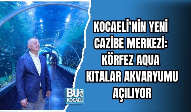 KOCAELİ'NİN YENİ CAZİBE MERKEZİ: KÖRFEZ AQUA KITALAR AKVARYUMU AÇILIYOR