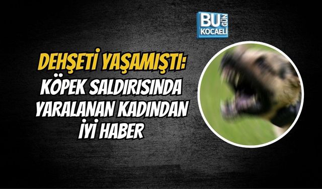 DEHŞETİ YAŞAMIŞTI: KÖPEK SALDIRISINDA YARALANAN KADINDAN İYİ HABER