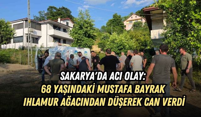 SAKARYA'DA ACI OLAY: 68 YAŞINDAKİ MUSTAFA BAYRAK IHLAMUR AĞACINDAN DÜŞEREK CAN VERDİ